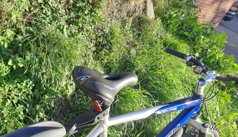 Saracen Nzyme aluminium frame bike 