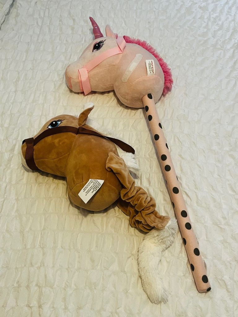 2 hobby horses in good as new condition 
