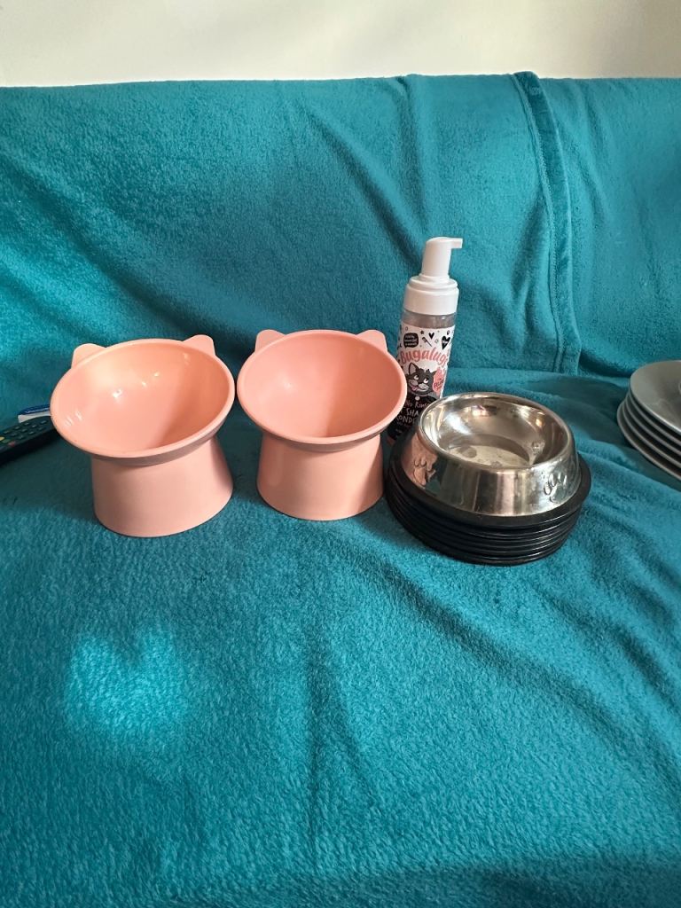 Cat dishes and shampoo