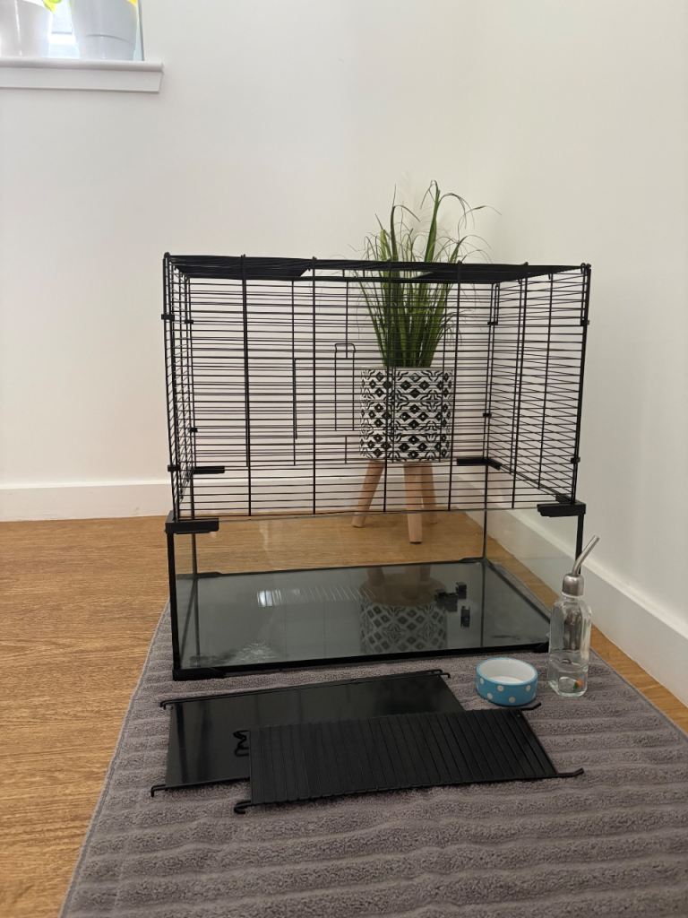 Hamster cage & equipment 