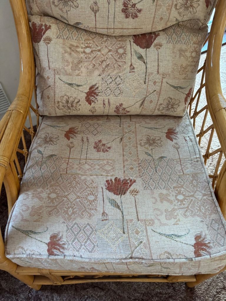 Cane Upholsterd Conservatory Chairs 