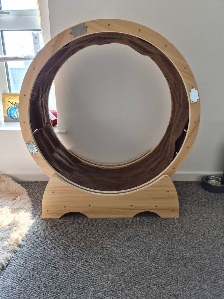 Cat wheel 