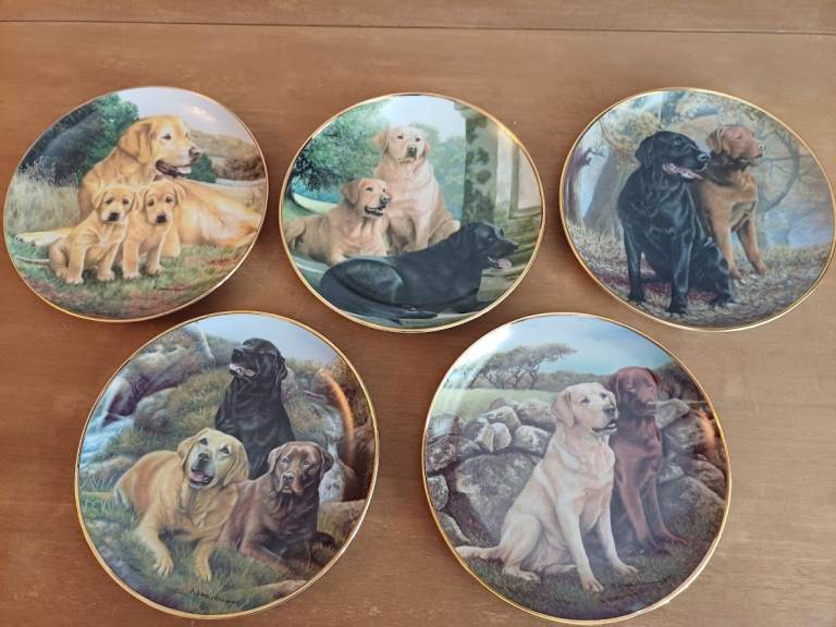 Set of 5 Decorative Labrador Dog Collector Plates – Good Condition