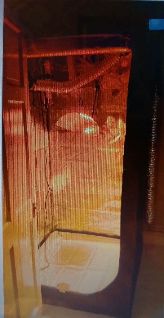 Grow Tent