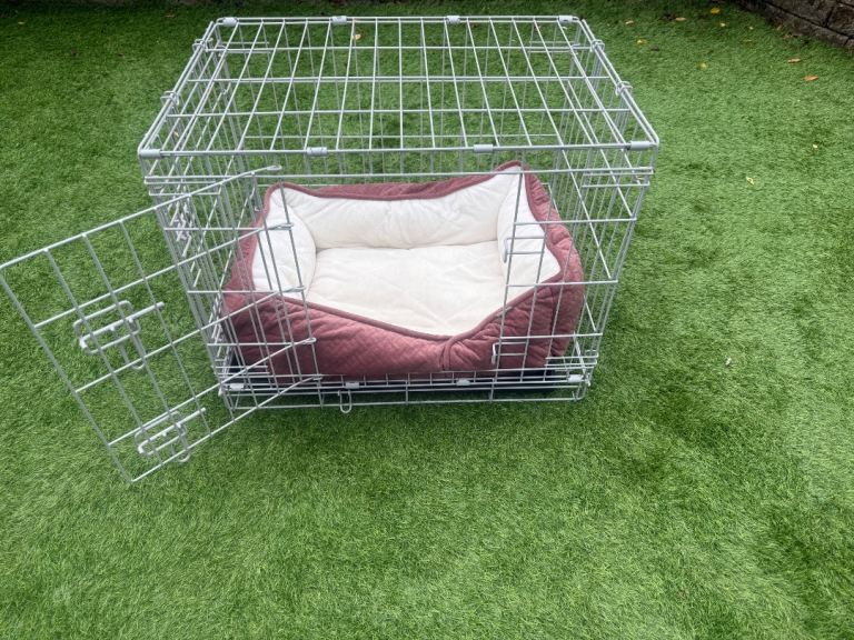  Small dog crate & bed 