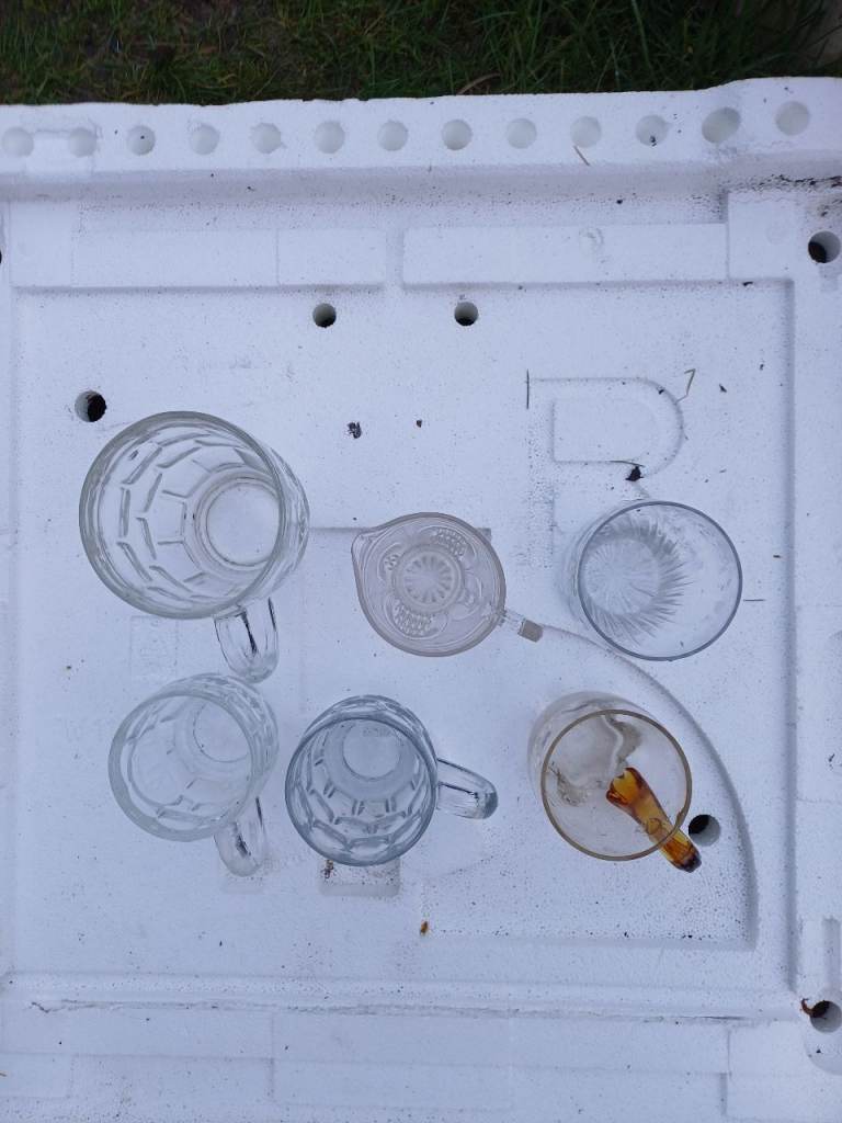 JOB LOT 6 DRINKING GLASSES 