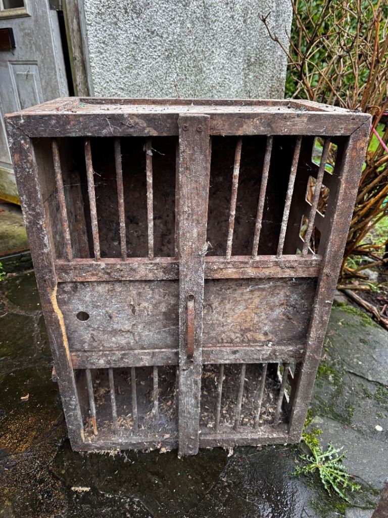 Bird transport boxes 