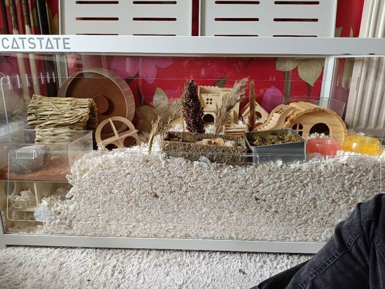 Large Bucastate Hamster Cage with Accessories