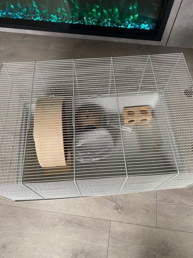 Hamster cage with accessories 