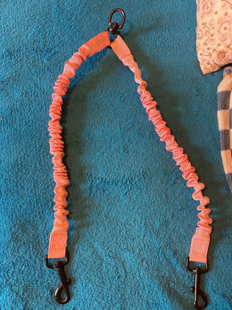 Double dog lead