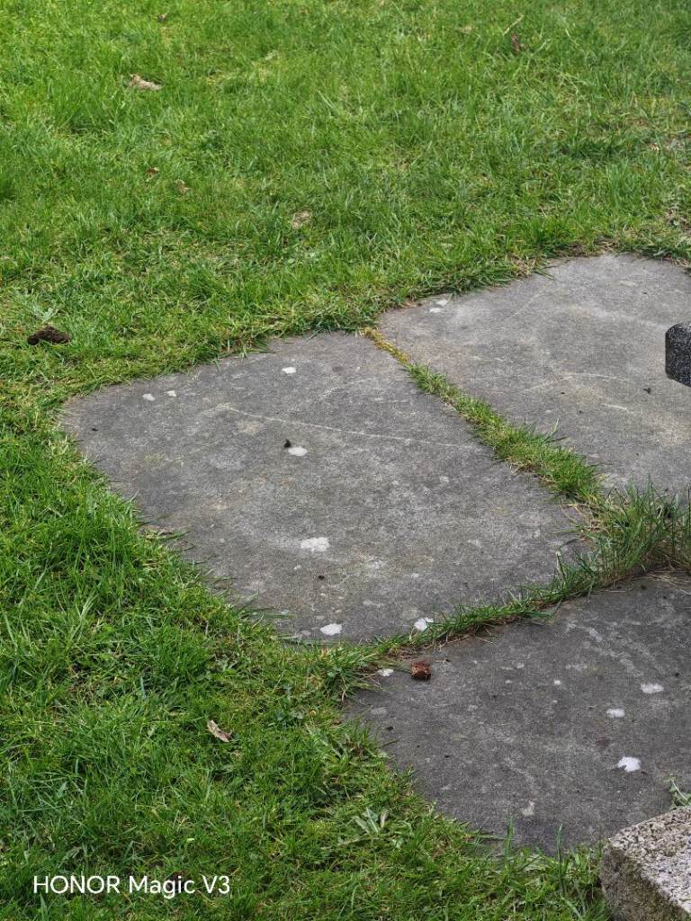 ** Grey Slabs Wanted **