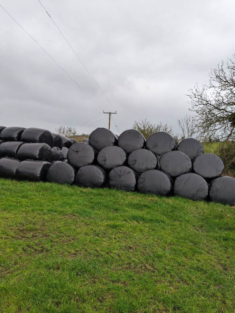 Round bale Silage 