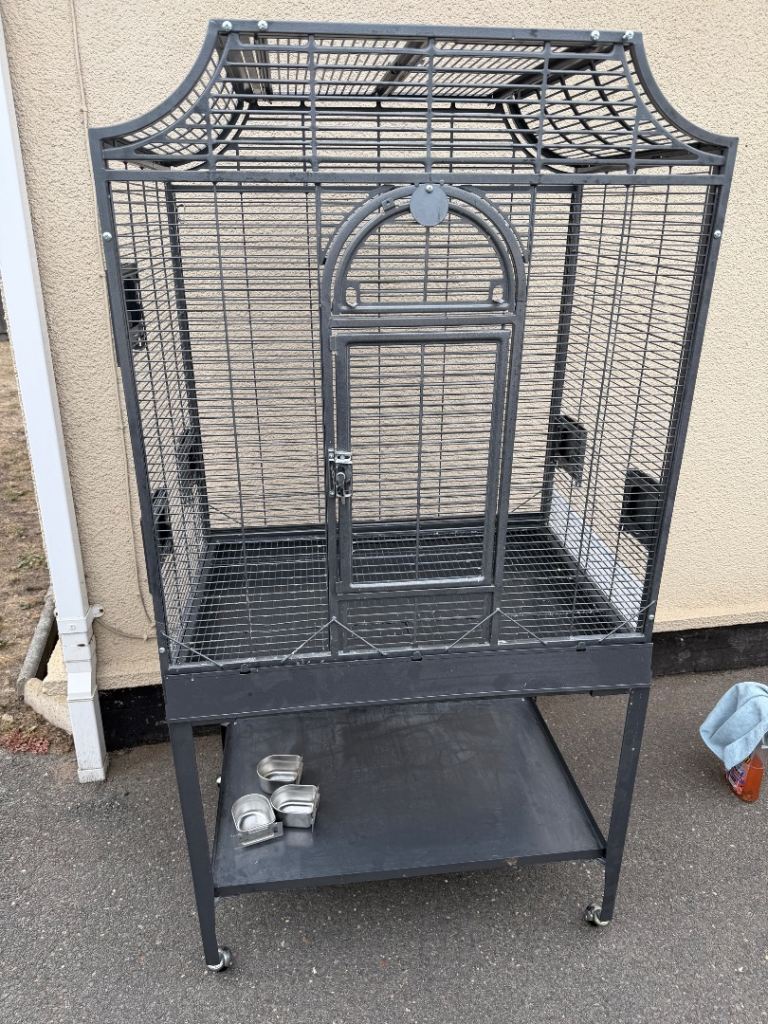 Parrot cage 
