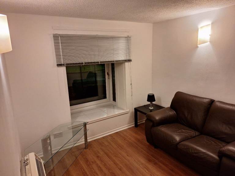 1 Bedroom Flat - Hamilton