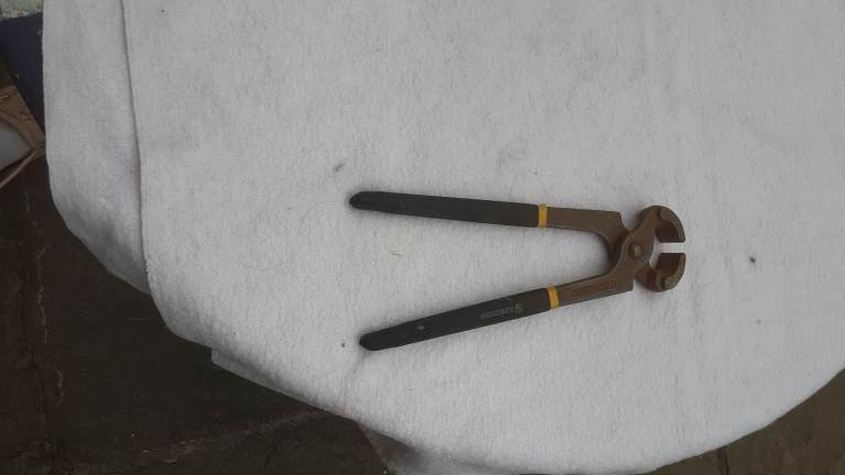 Aubon Pincers