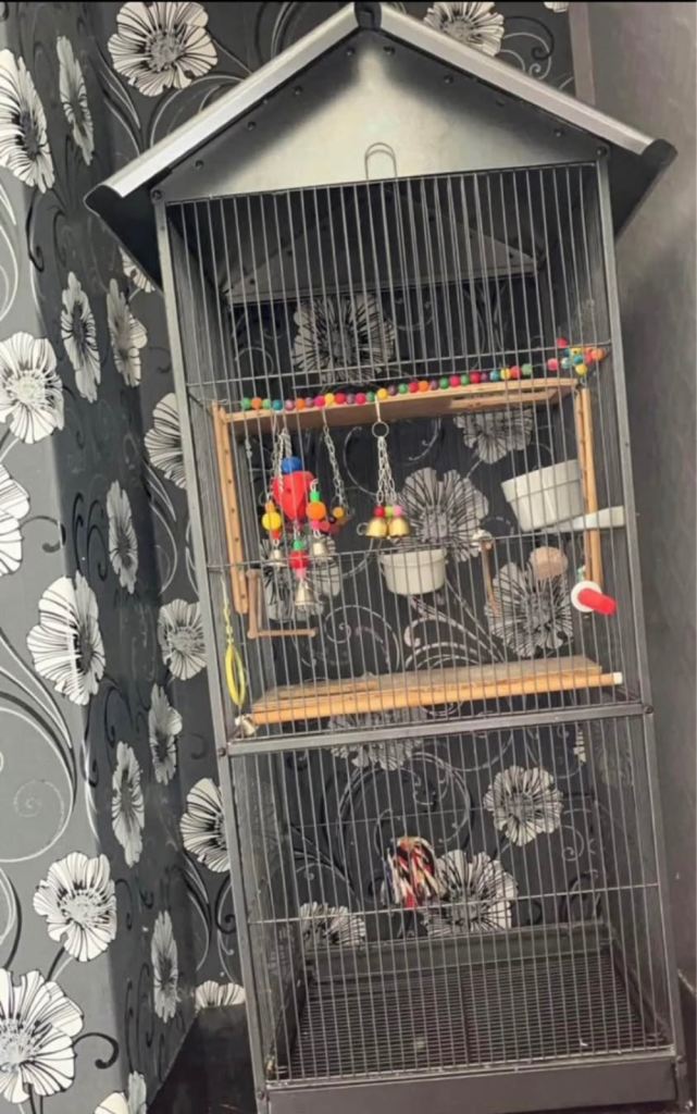 image for 4ft bird cage 