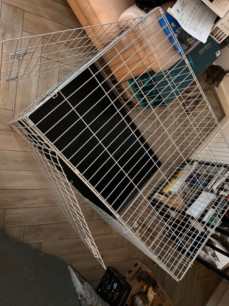 Dog cage size Large