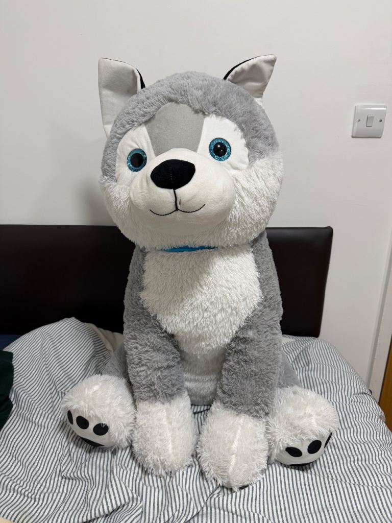 Large Grey Husky Dog Plush Toy – As Good As New