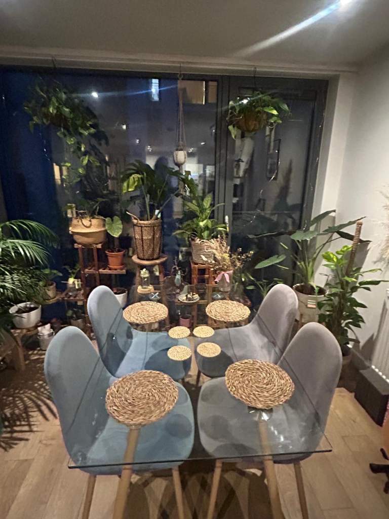 Glass Dining Table 