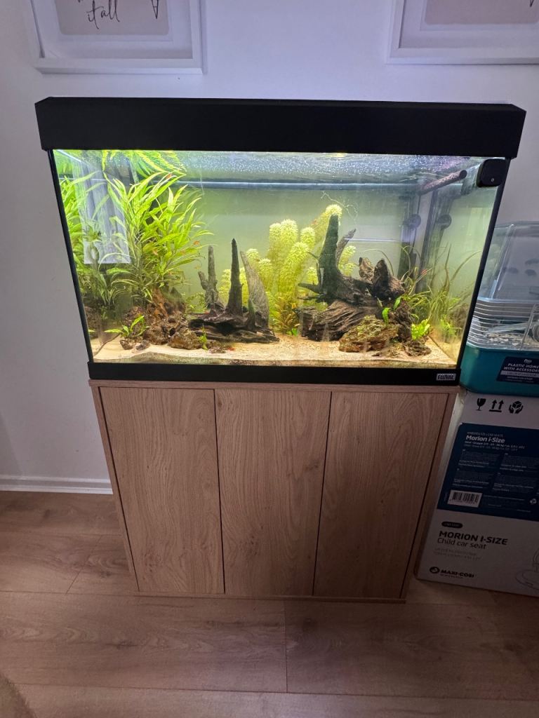 Fluval Roma 125
