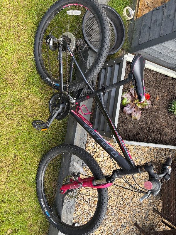 Carrera Mountain Bike – Black and Pink, Good Condition