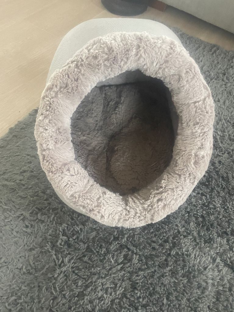 Cat bed