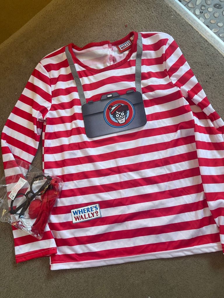 World book day costume