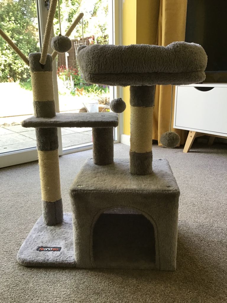 Cat play station