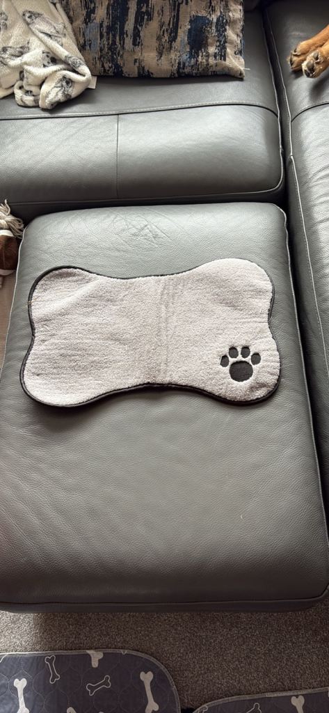 Various dog coats 