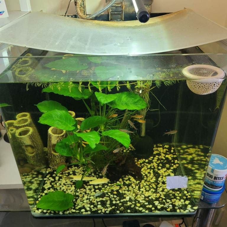 Cube fish tank for sale