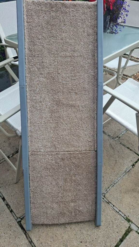 Dog ramp 