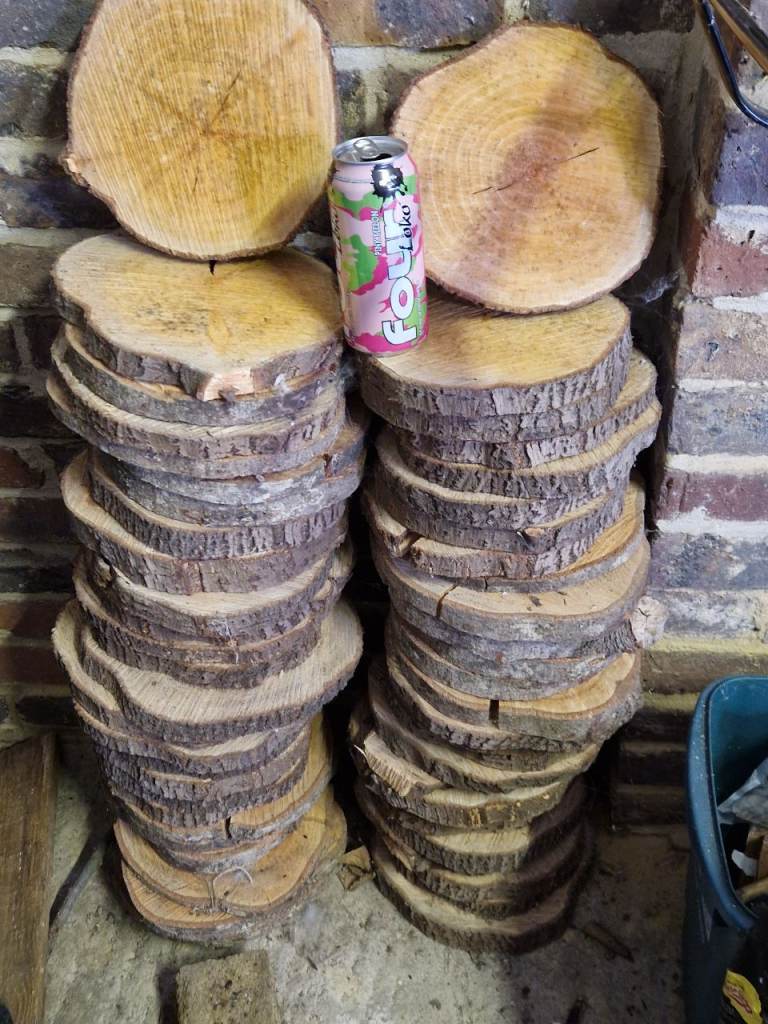 Wood Slices for Crafts or Garden Decor - New