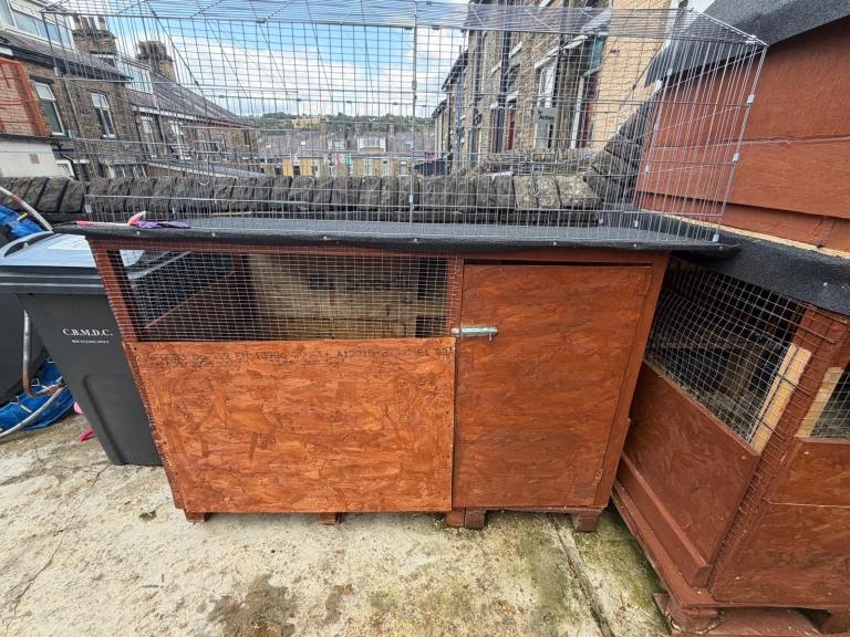 Chicken coop with metal garden cage