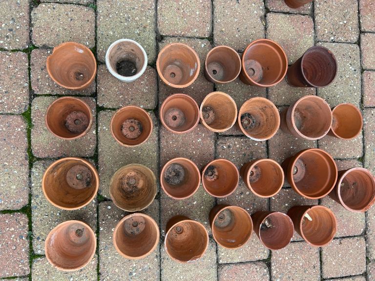 Selection of small and medium vintage terracotta pots
