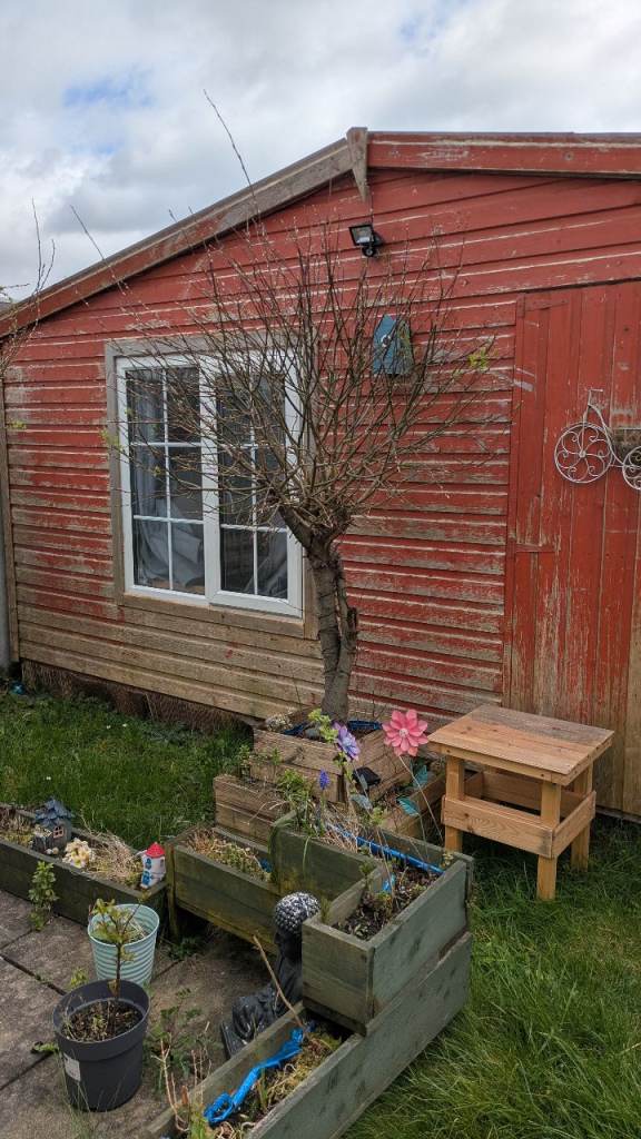 Shed for sale 