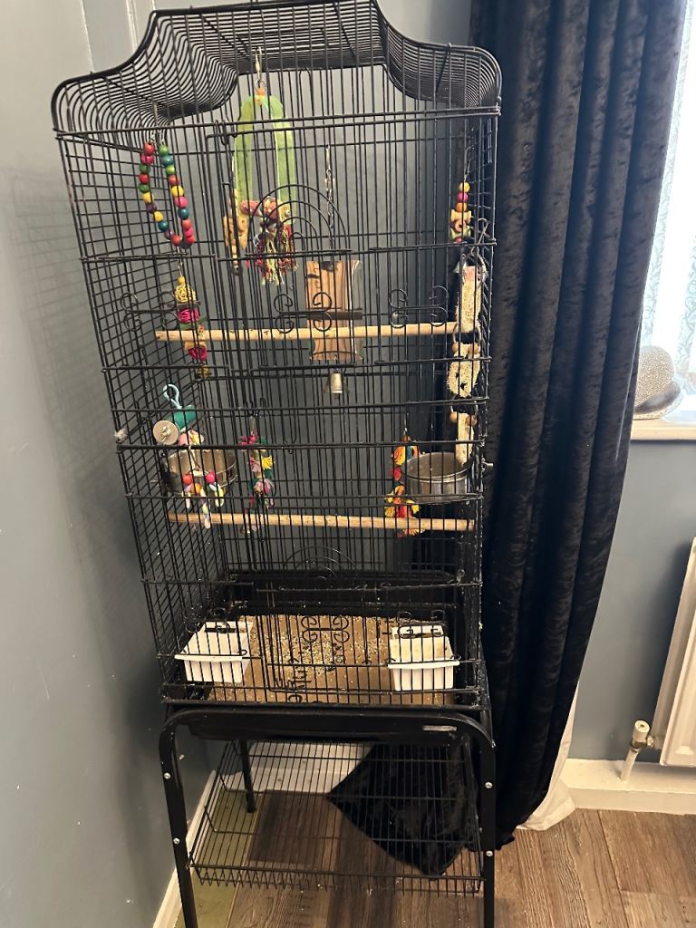 Large Black Metal Bird Cage on Stand - Good Condition