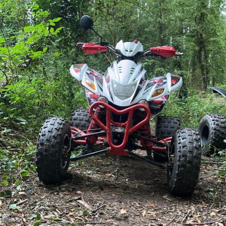 Dinli, DL801 (QUAD BIKE), 2008, 448 (cc)