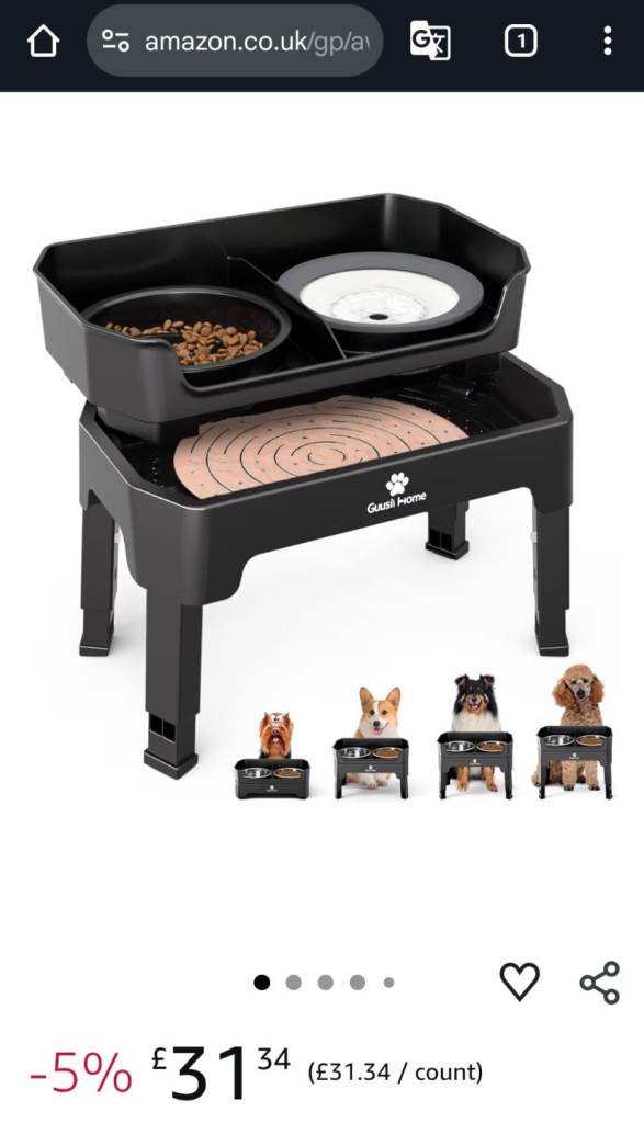 Dog feeding station 