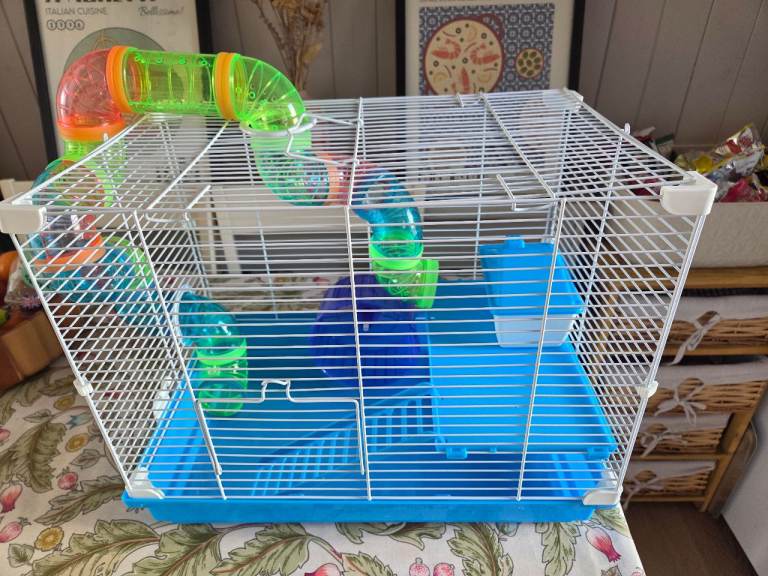 Hamster cage