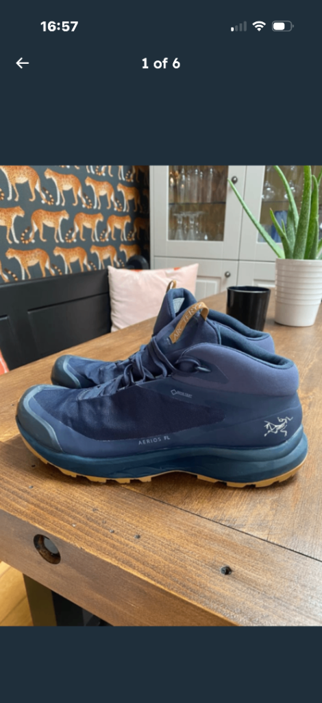 image for Arcteryx gor-Tex shoes 