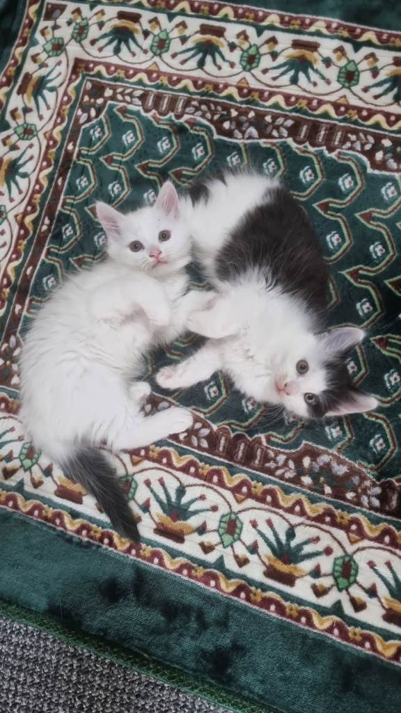 The most unique two girls