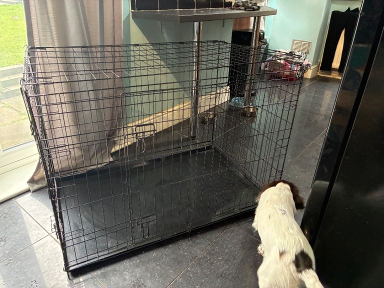 Large dog crate 