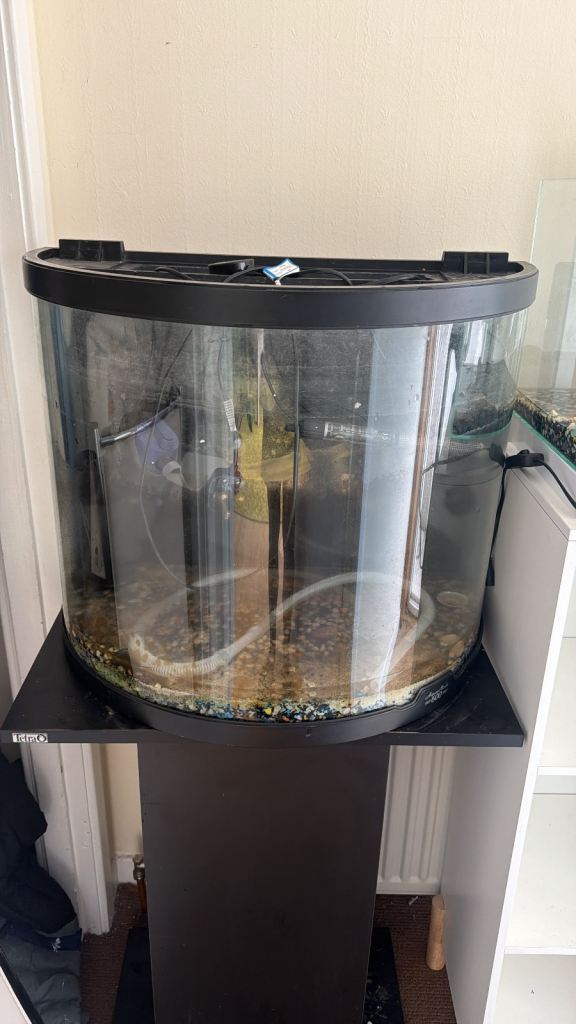 60 Litre Curved Glass Fish Tank with Black Stand