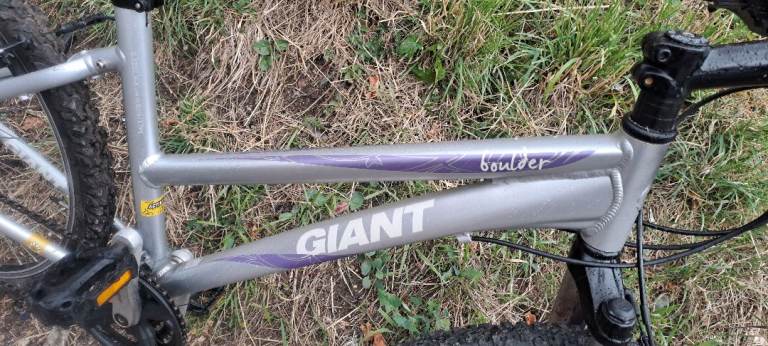 Giant Boulder aluminium frame bike 