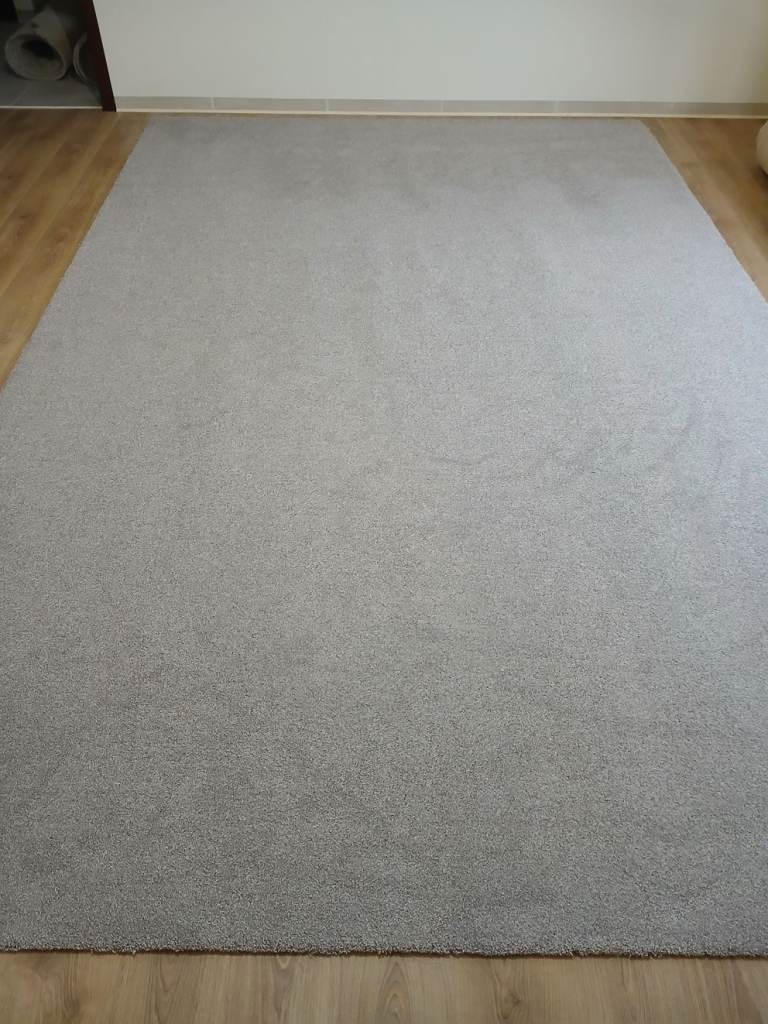 New carpet 2.5m x 4m size 8' x 12' end of roll