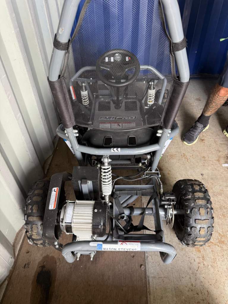 48v 1000watt electric buggy 