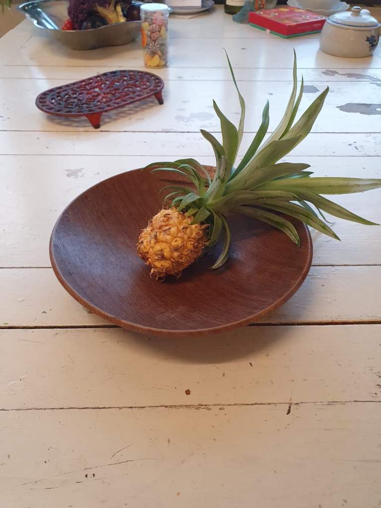 Nice space age fruit bowl