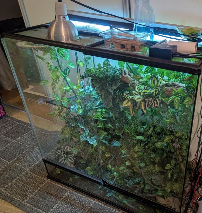 Large Exo Terra Vivarium with 