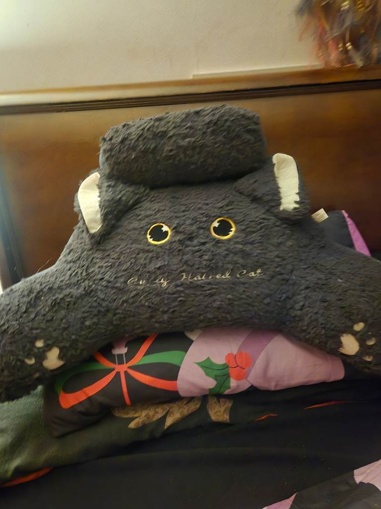 (GONE)Two cuddle cushions