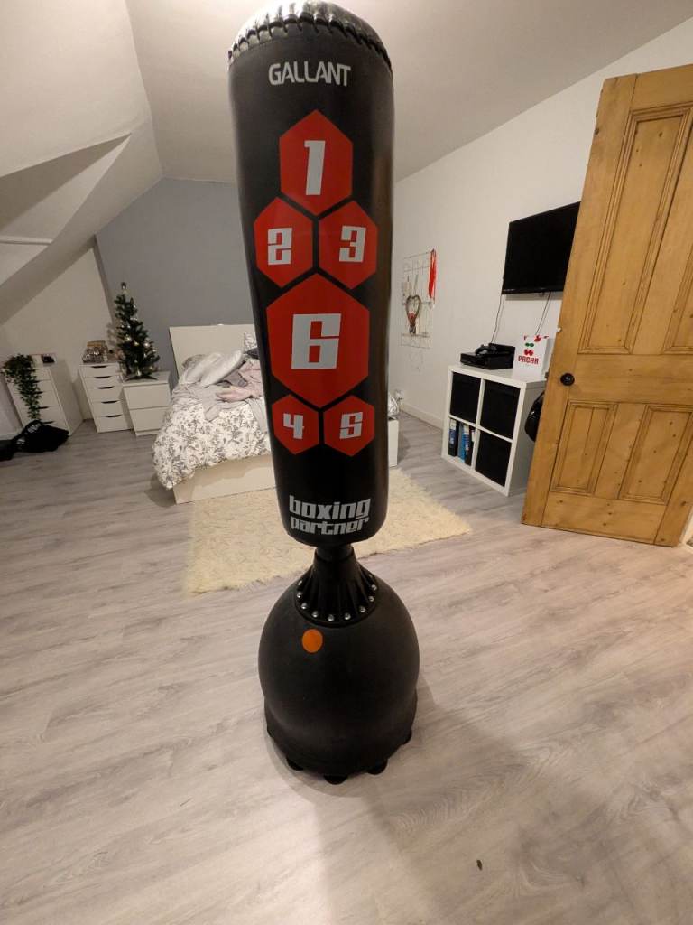 Gallant boxing partner punch bag 